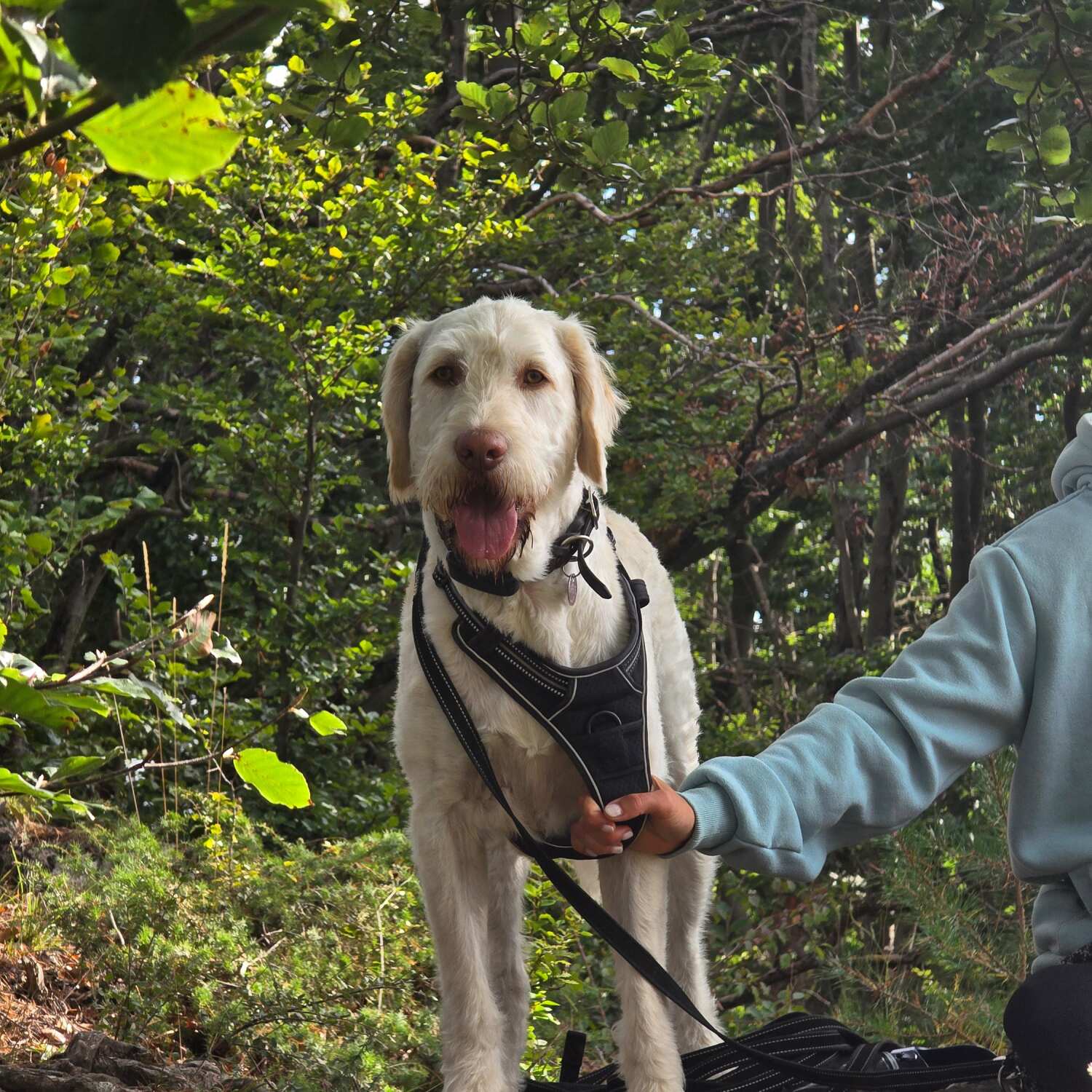 Familienurlaub Frankenau