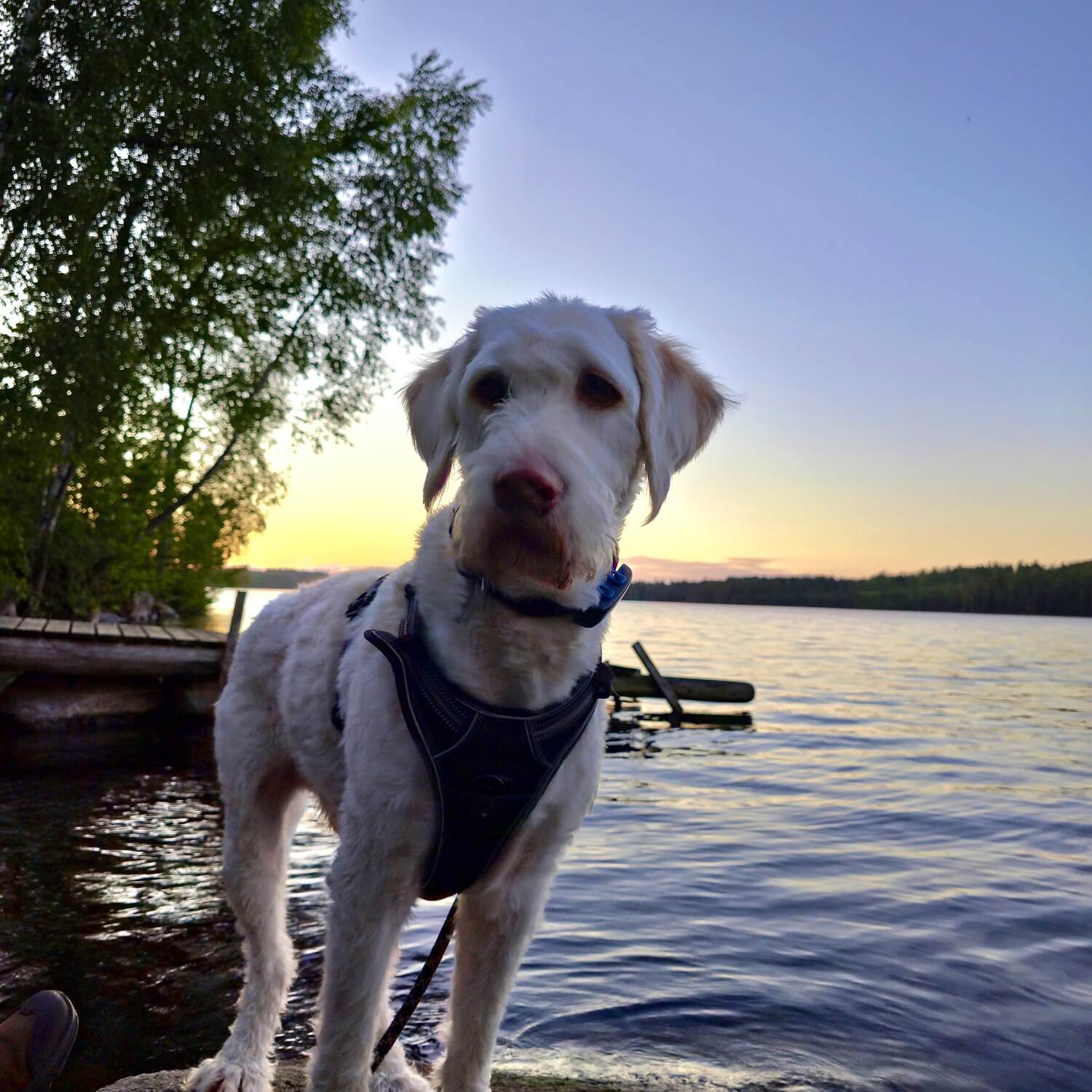 Schweden Urlaub mit Freunden