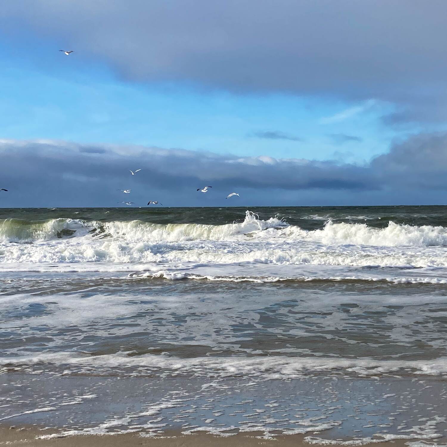 Nordseeinsel Sylt