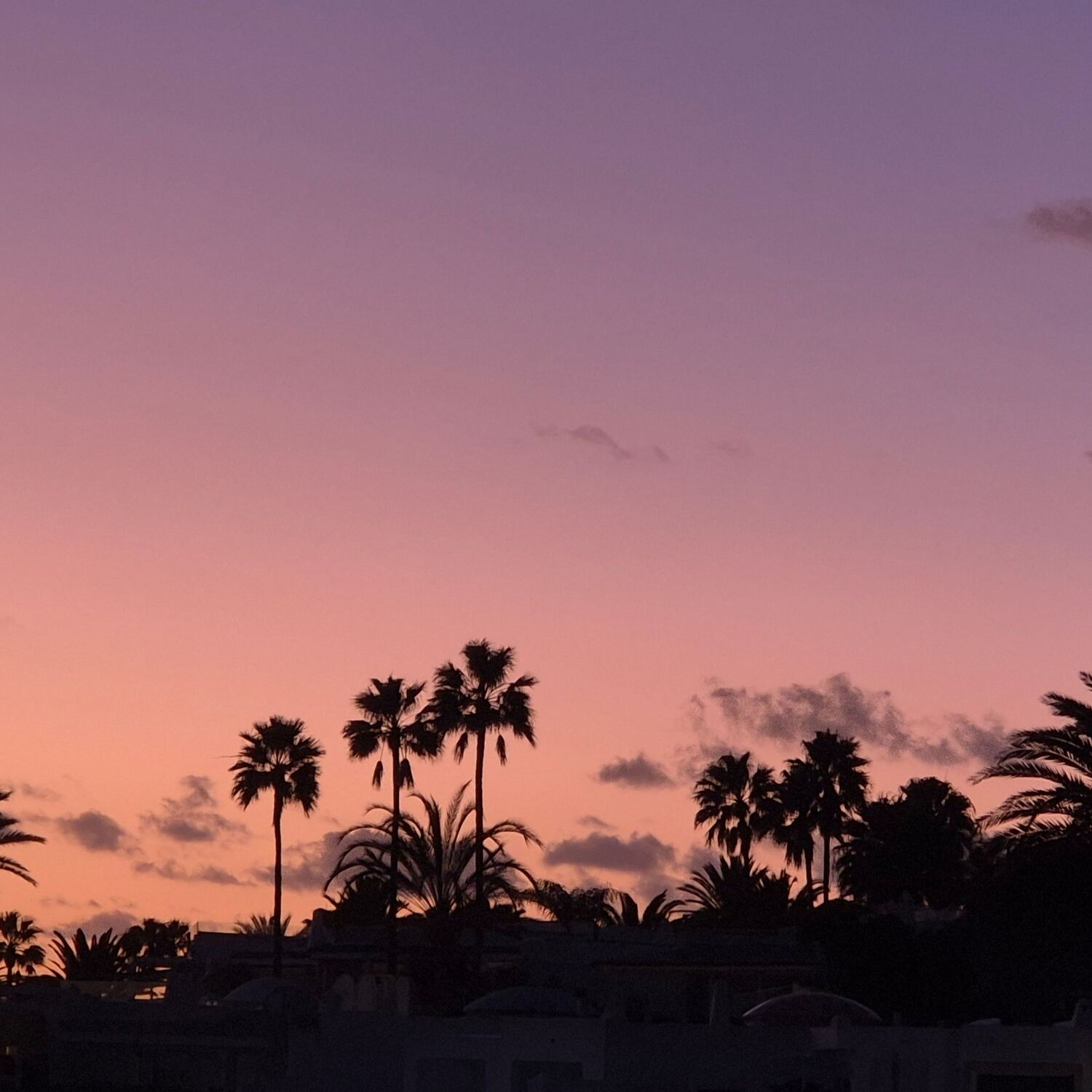 Canary Island Xmas