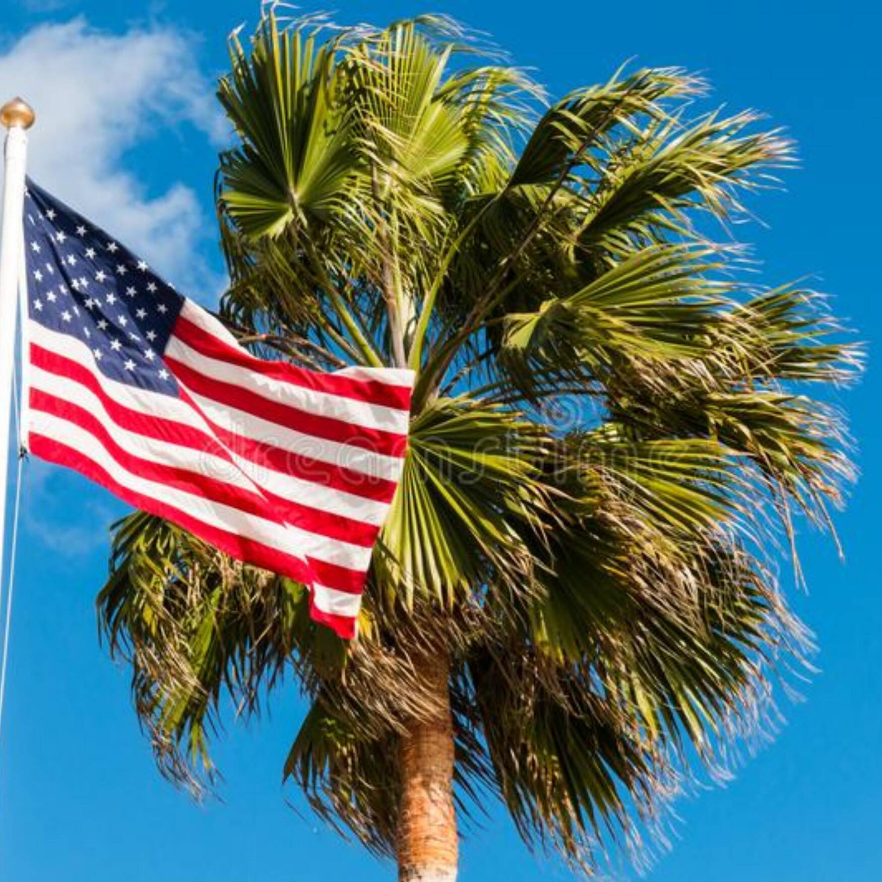 USA-Roadtrip