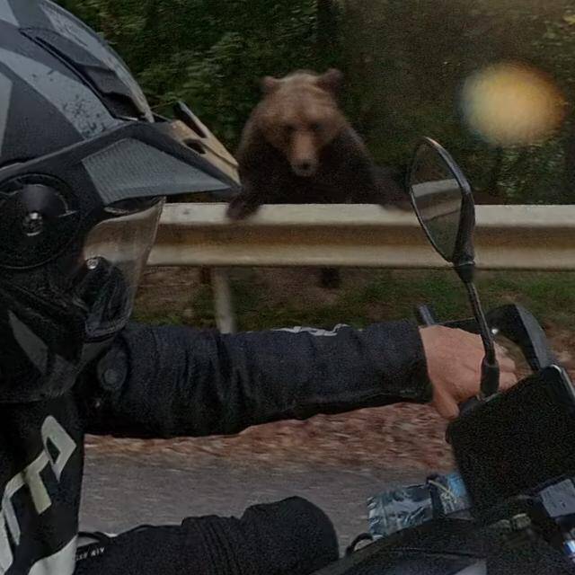 TurboTino