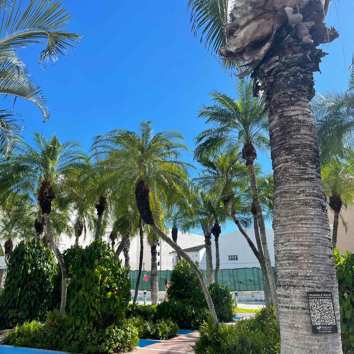 Welcome to Miami 🇺🇸🎶