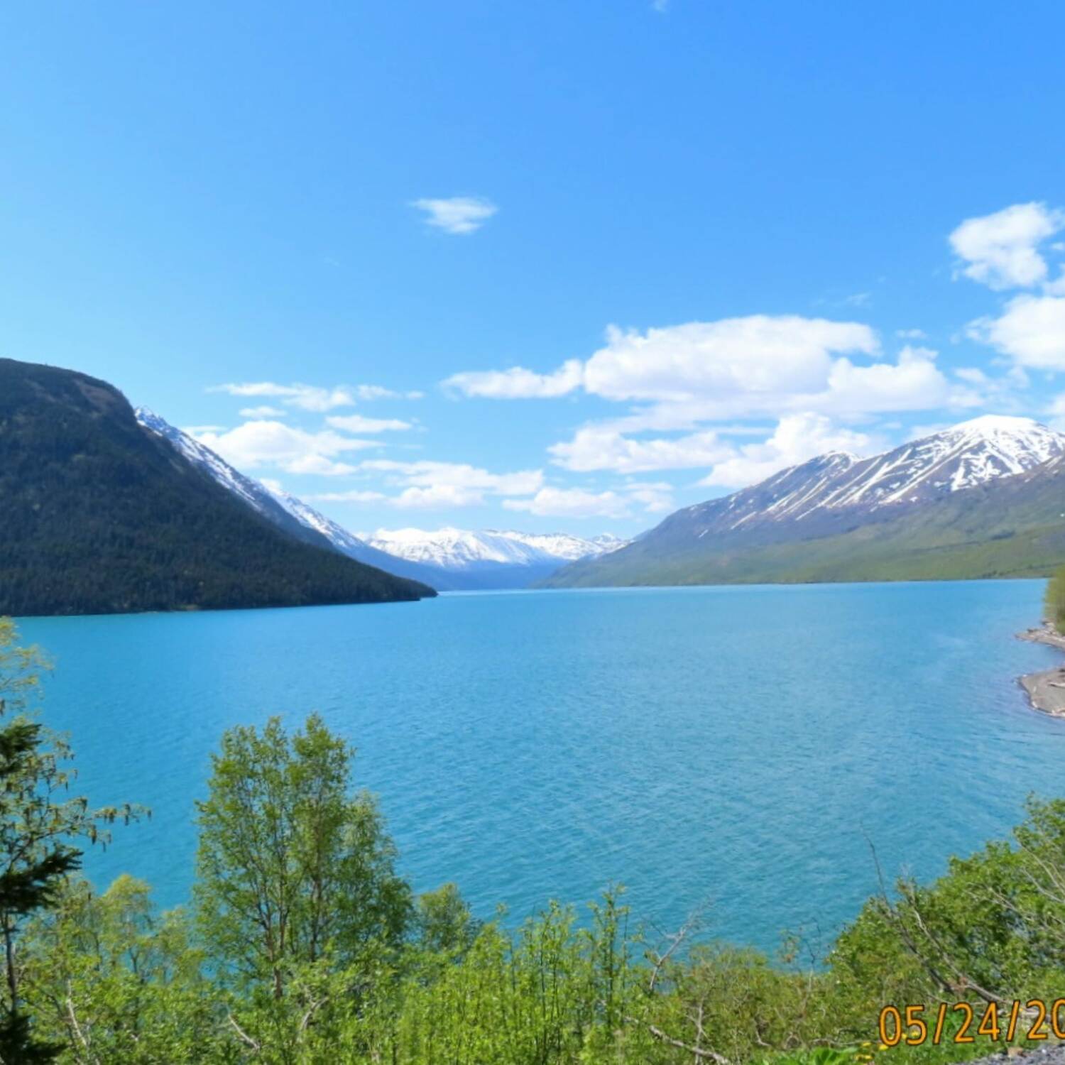 Let's Compare Fjords