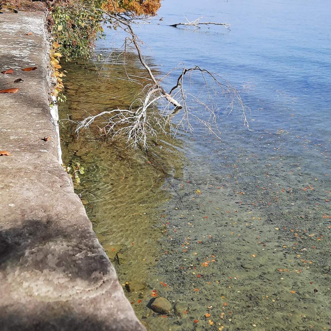 Bodensee