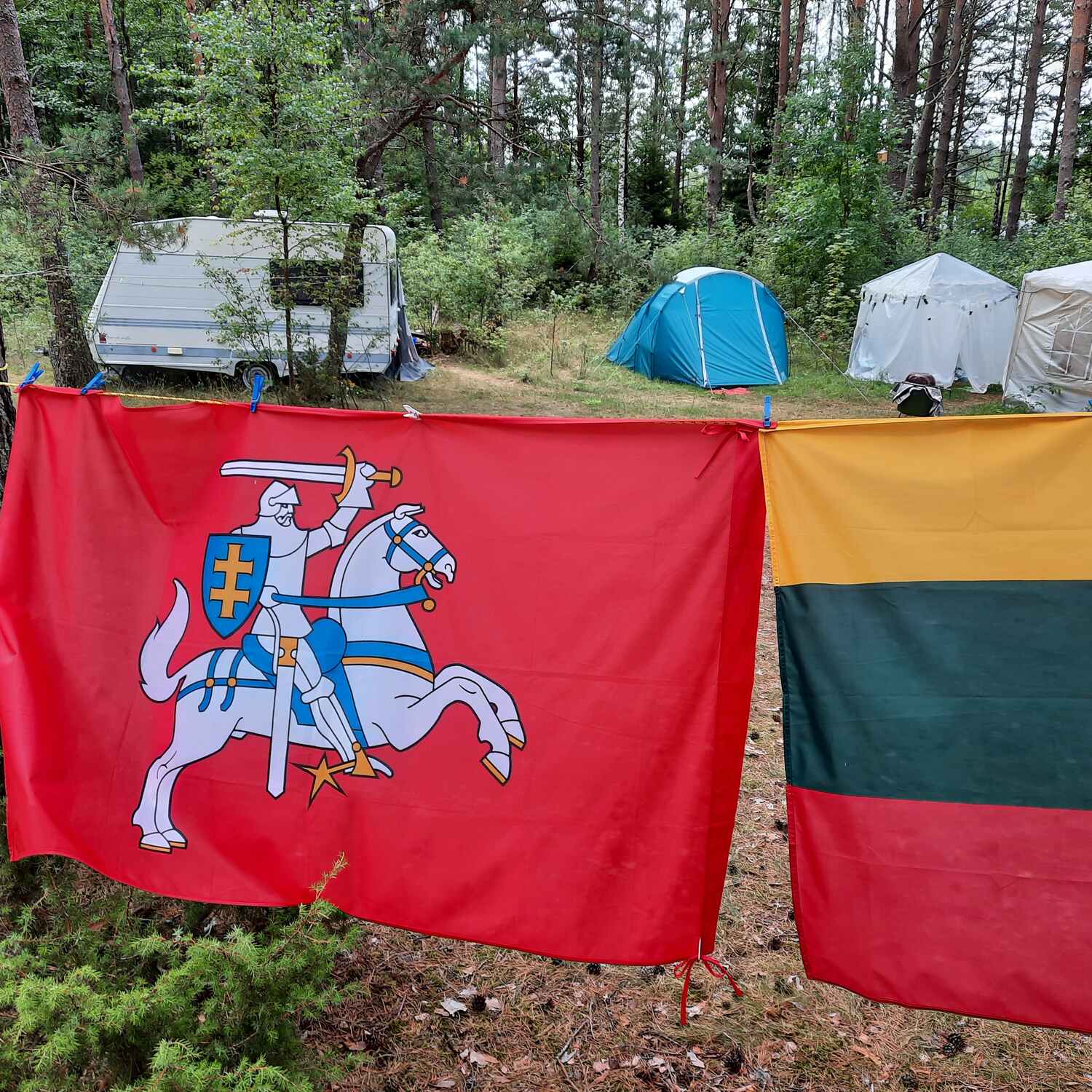 Polen - Litauen