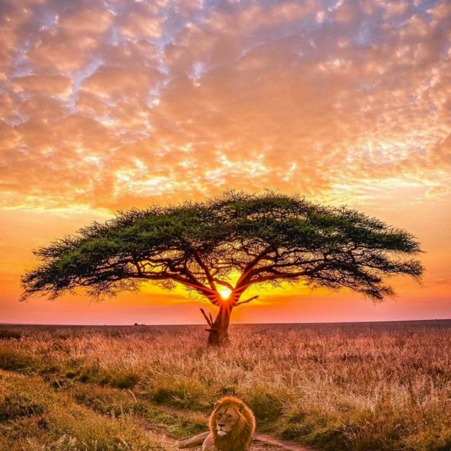 Südafrika