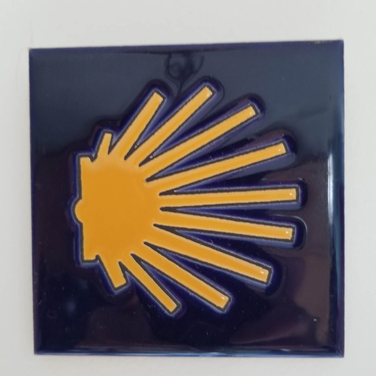 Camino Frances 2024