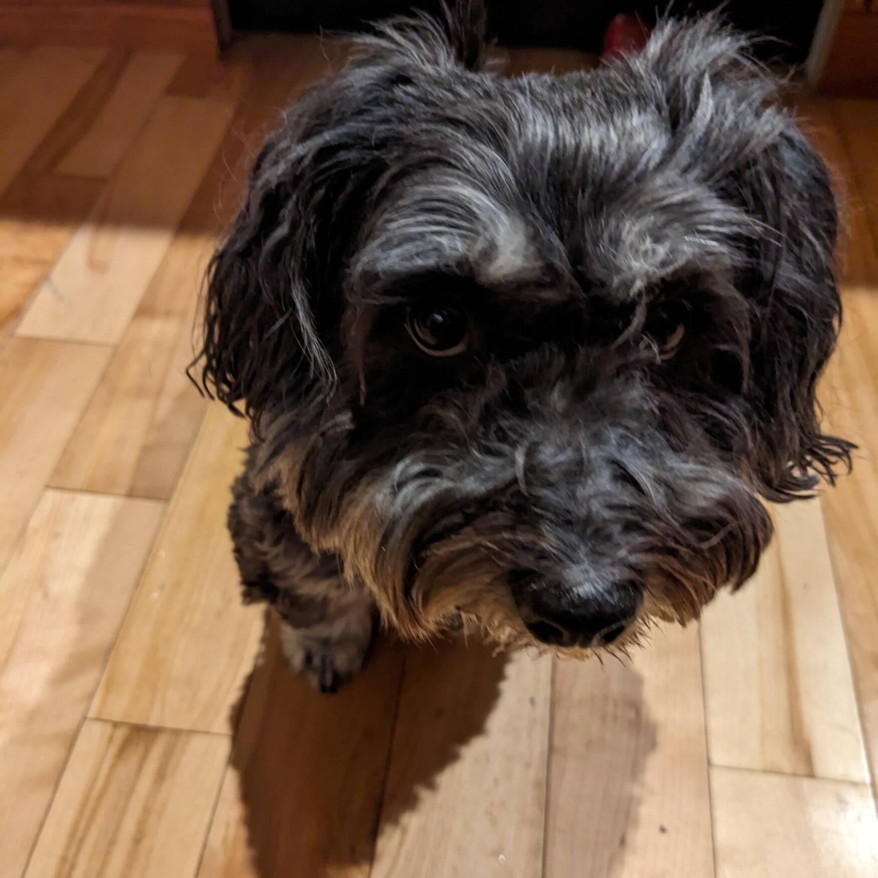 Teddy's Terrific Adventure