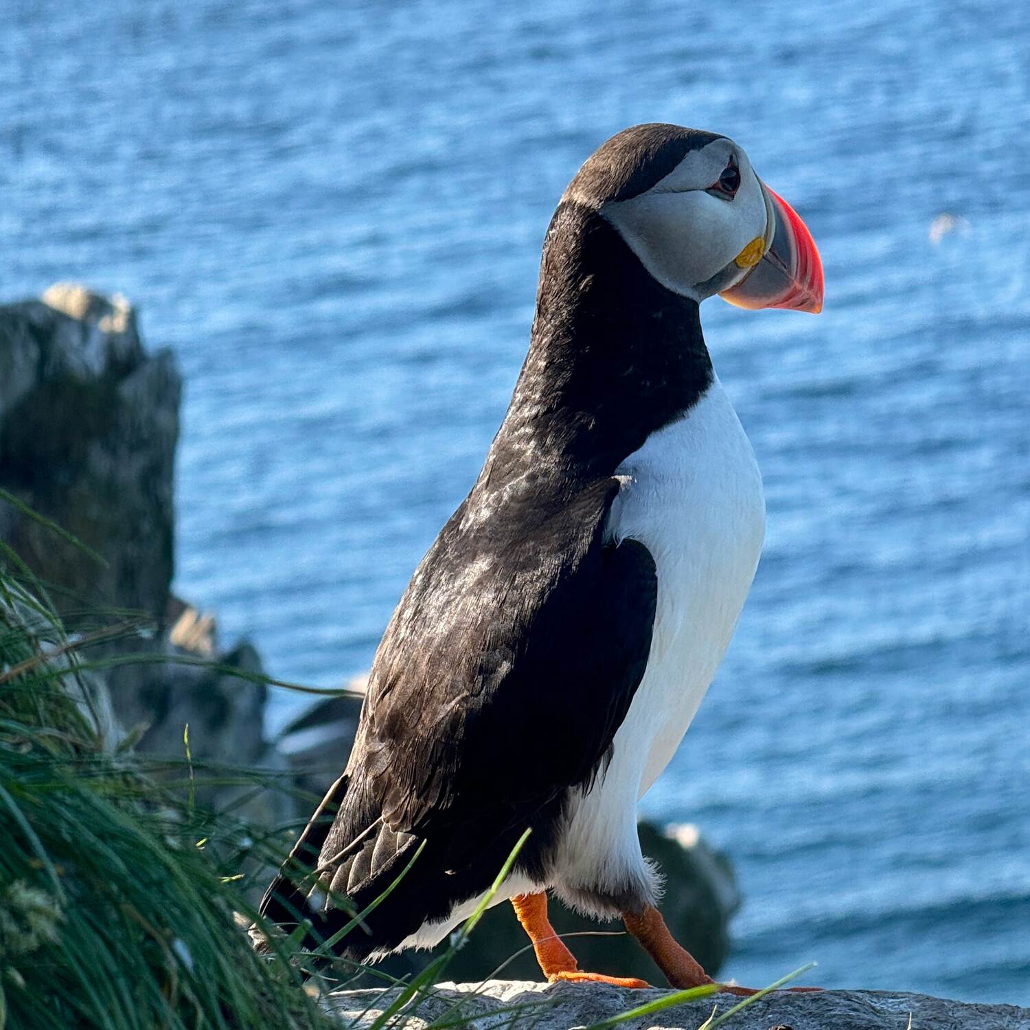 Road-Trip ins Glück