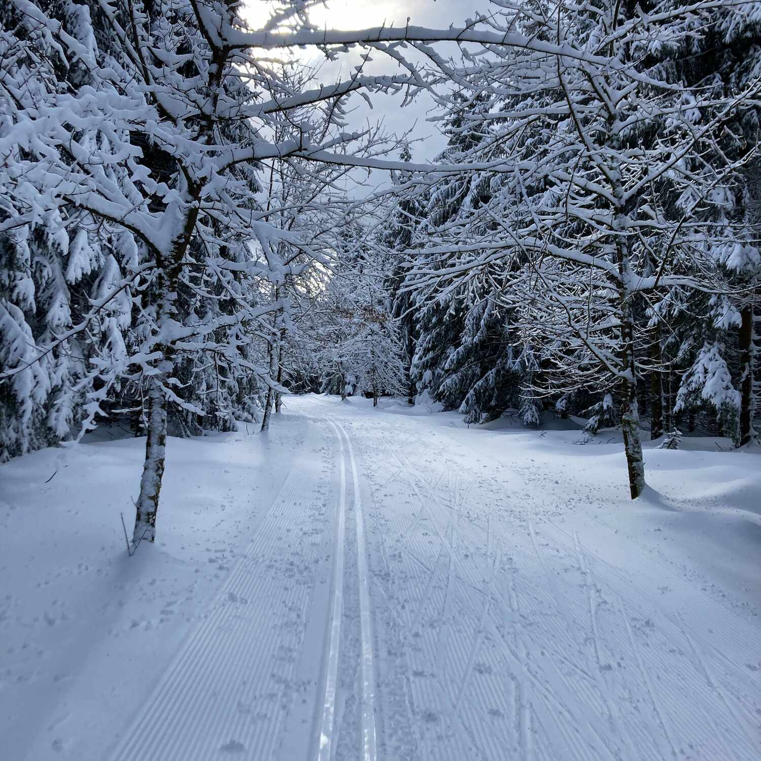 Langlaufmarathon im Thüringer