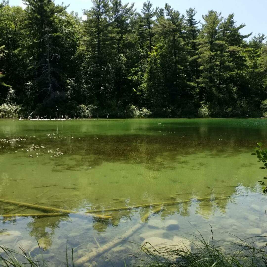 Kanada Sommer 2019