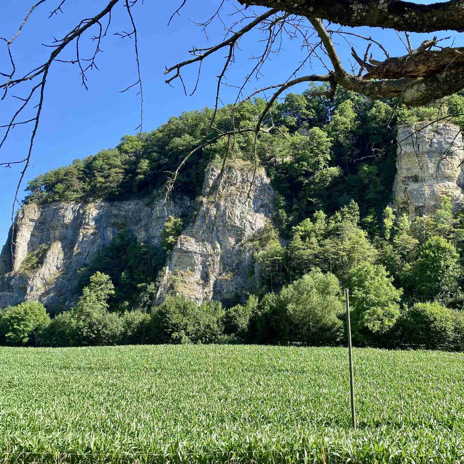Velotour 2026 - rund um Bern