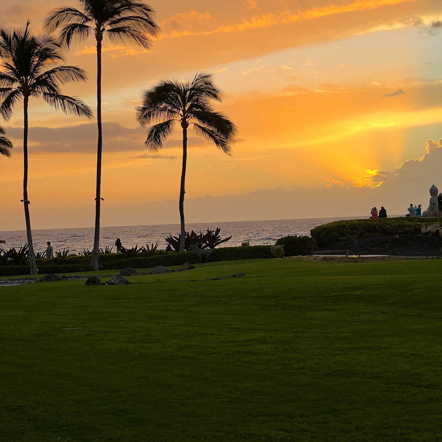 Hawaii Feb 2023