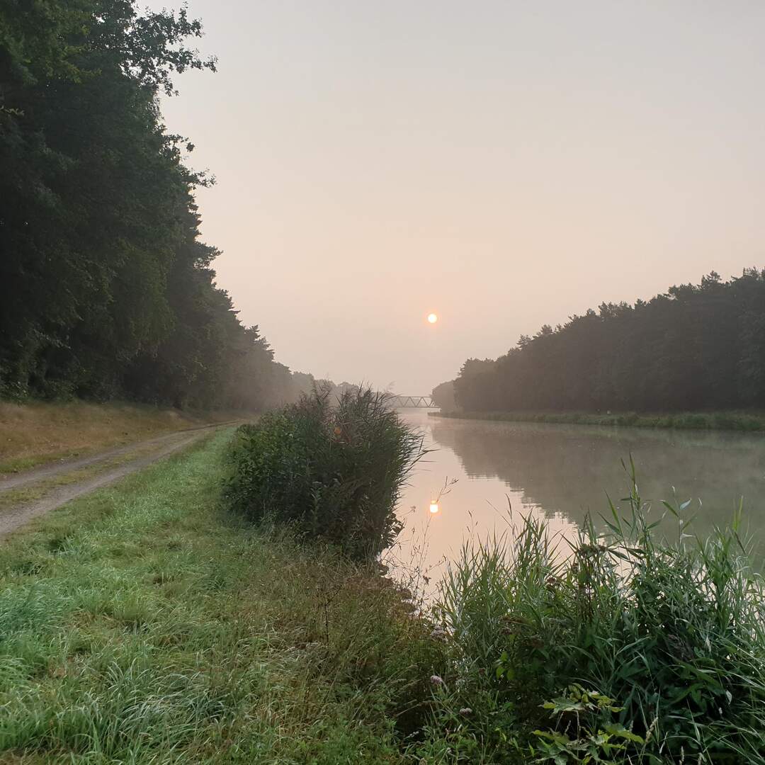 Morgenspaziergang