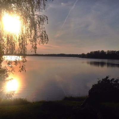 before the excitment