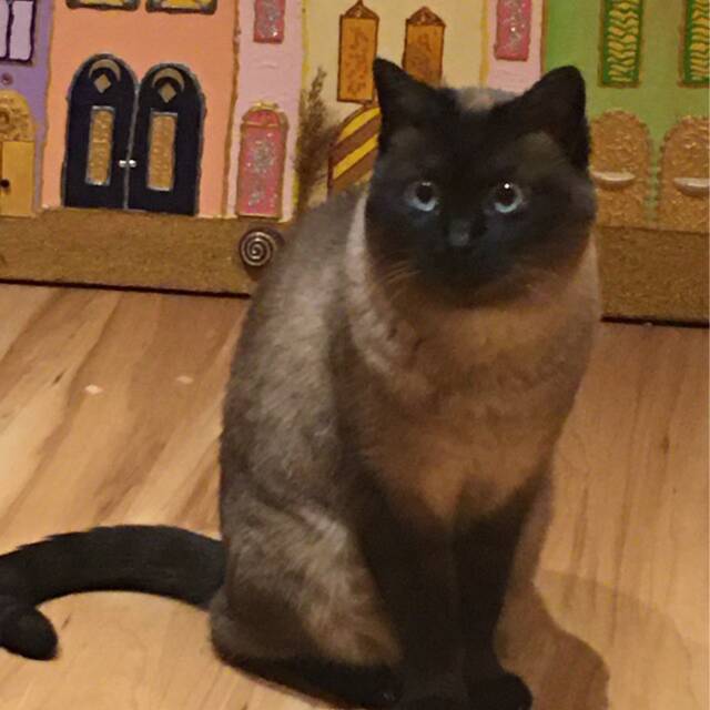 Pina