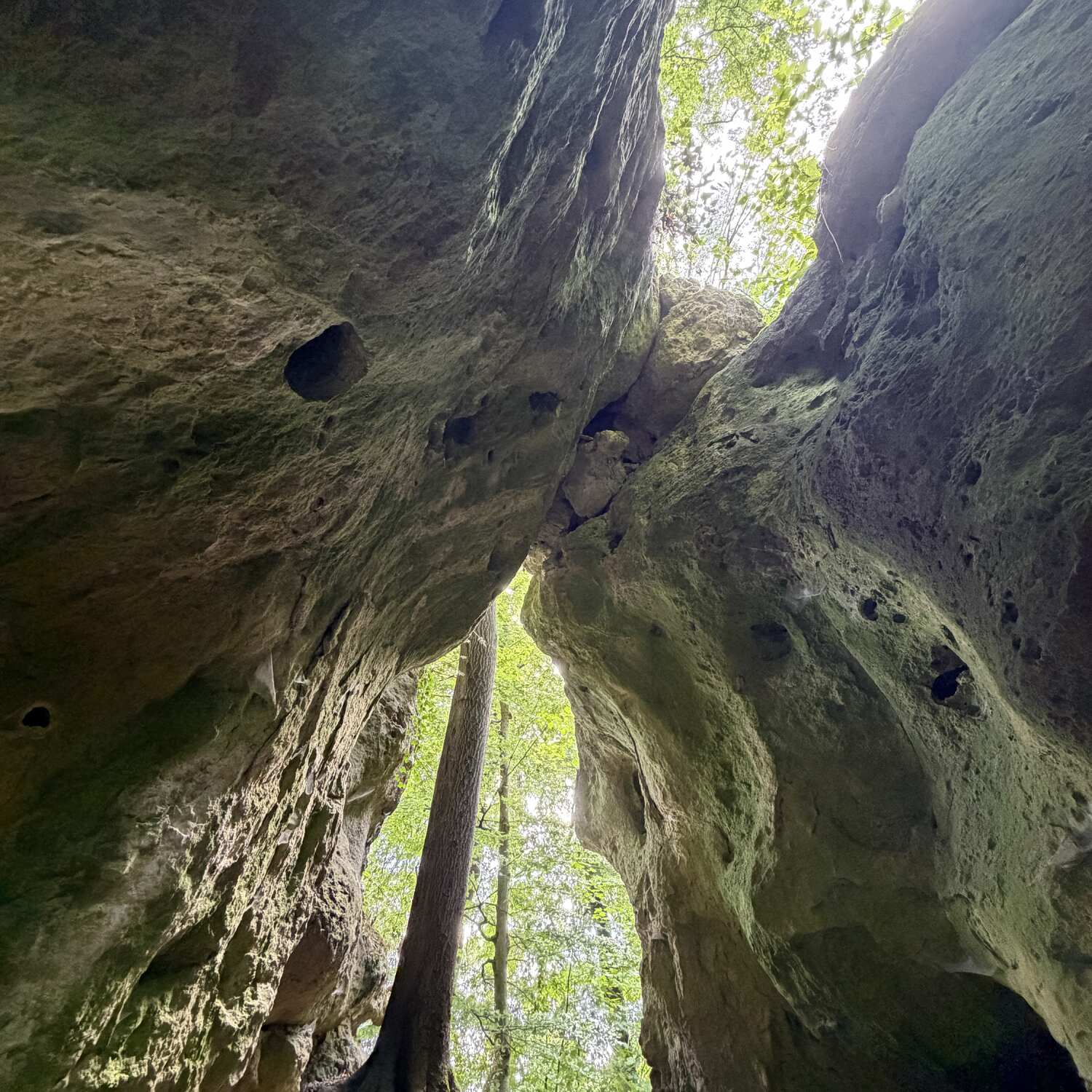 Felsengarten Sanspareil