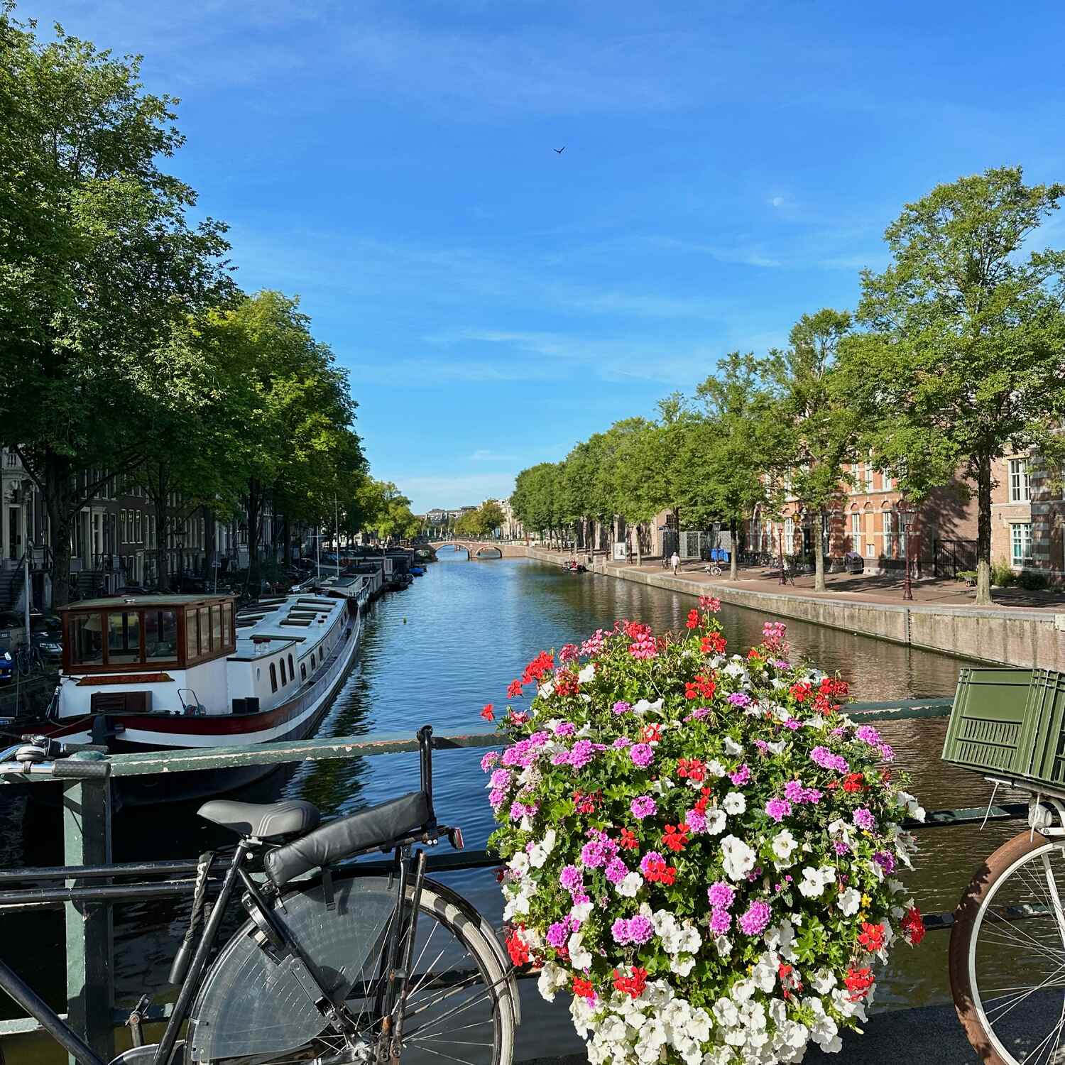 Life in the Netherlands