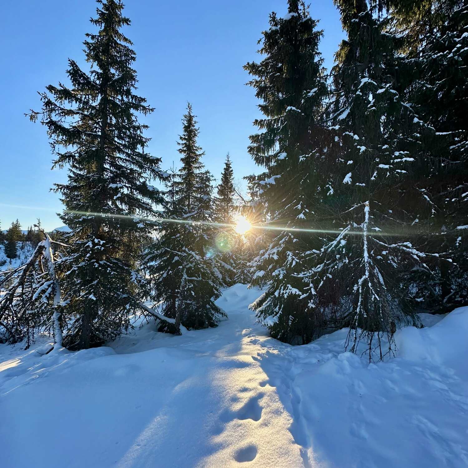 Christmas in Norway