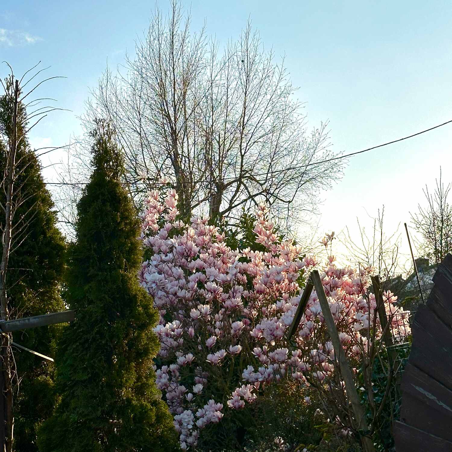 Spring 24