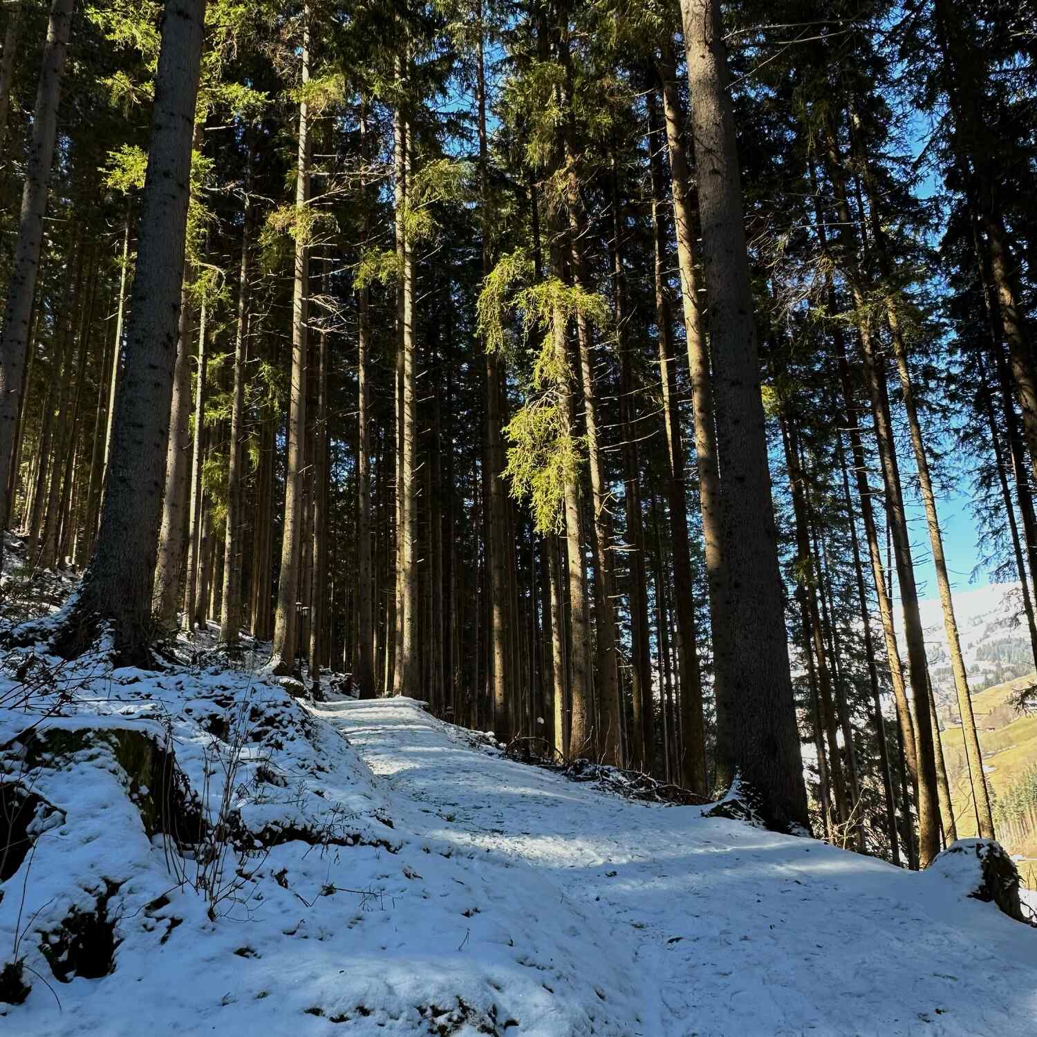 Winter 25