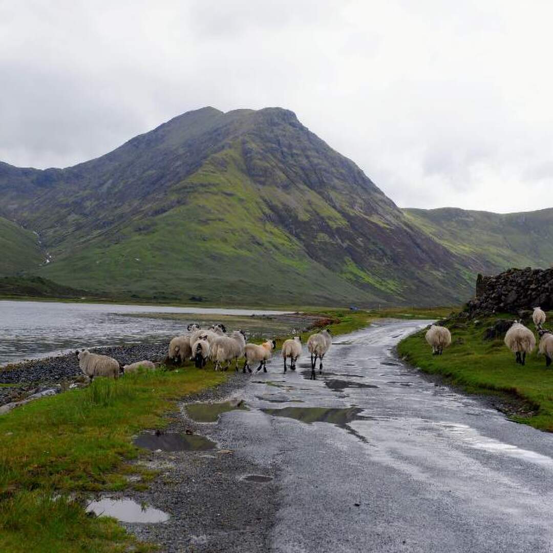 Schottland 06/19