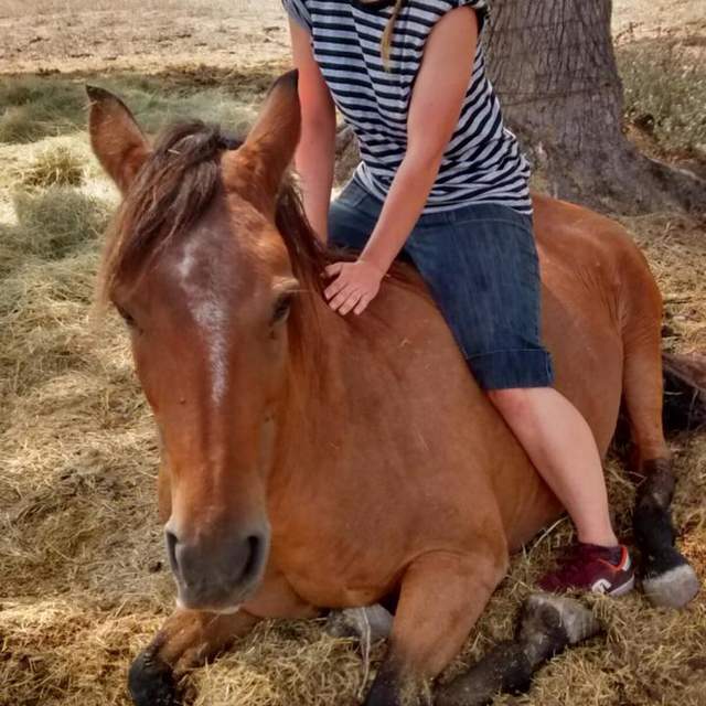 Texas