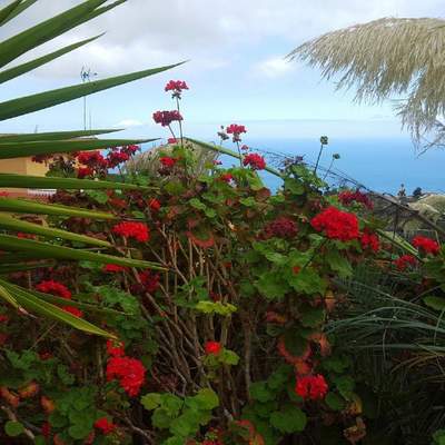 Teneriffa der Norden