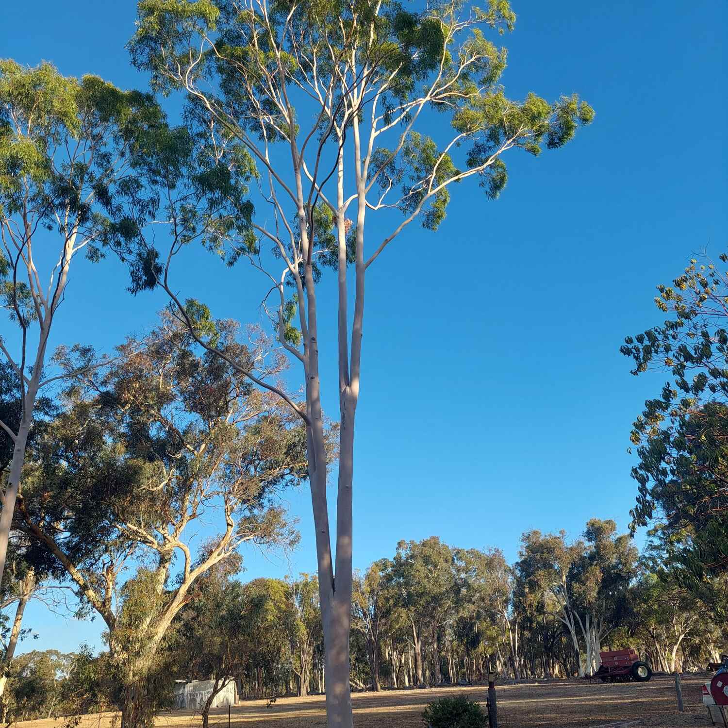 South West April 2024