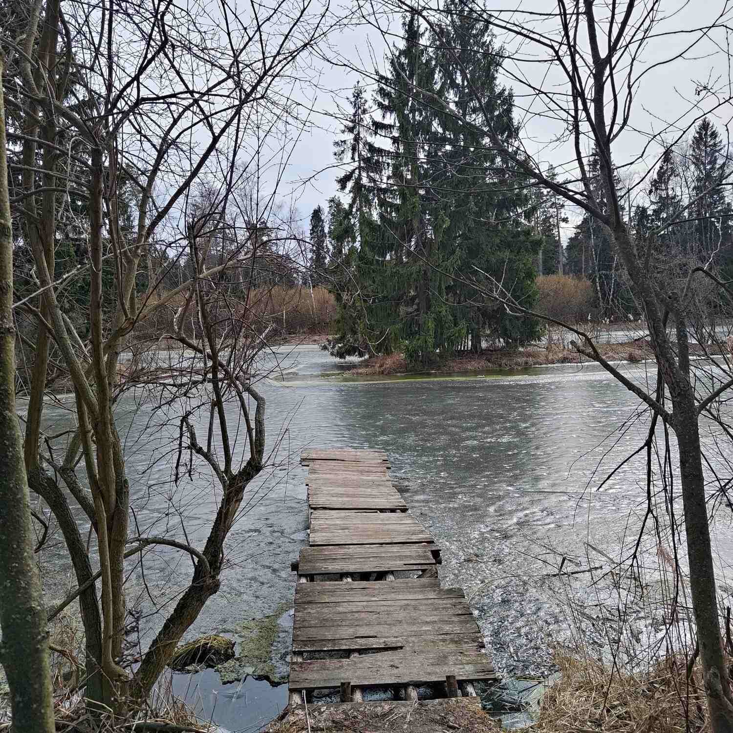 Вдоль древнего волока: Костина