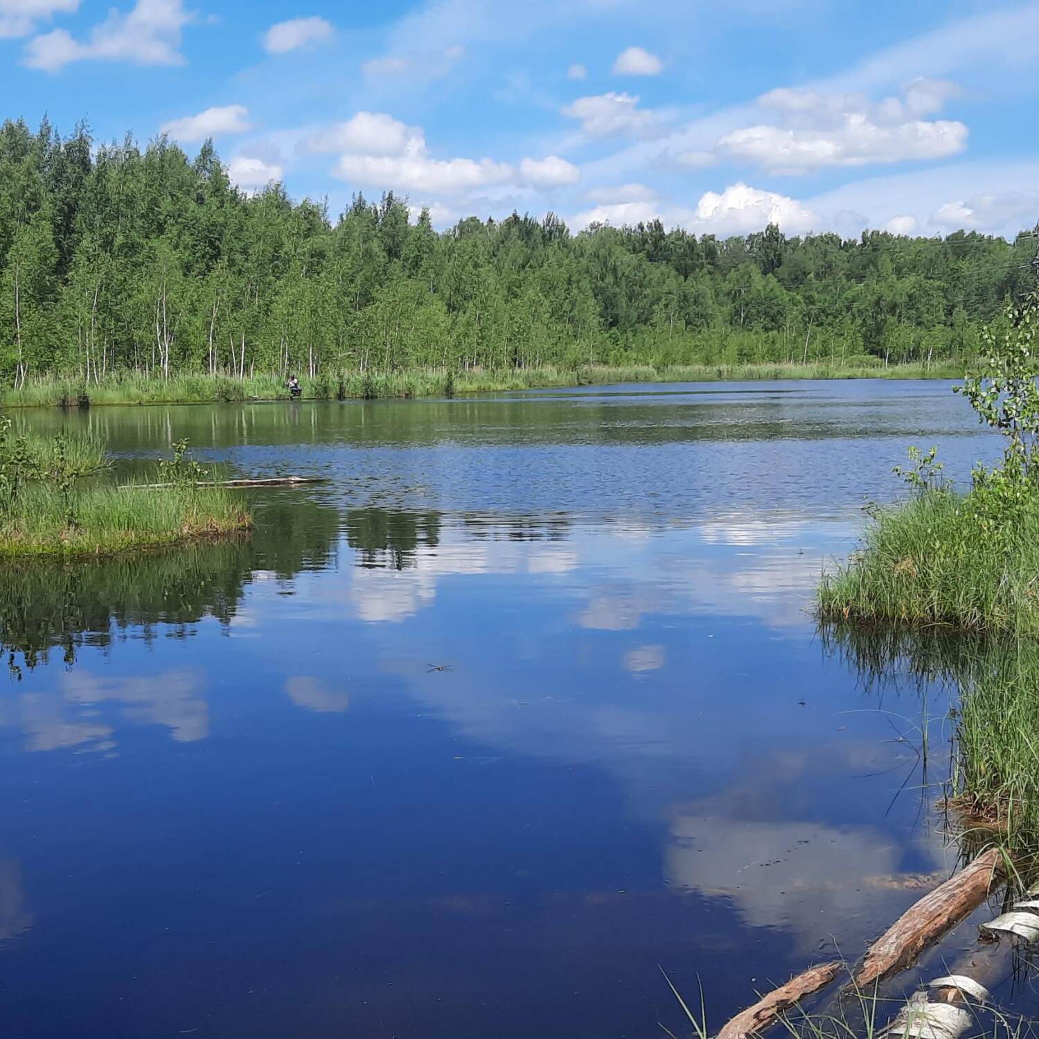 Фирсановка - Середниково