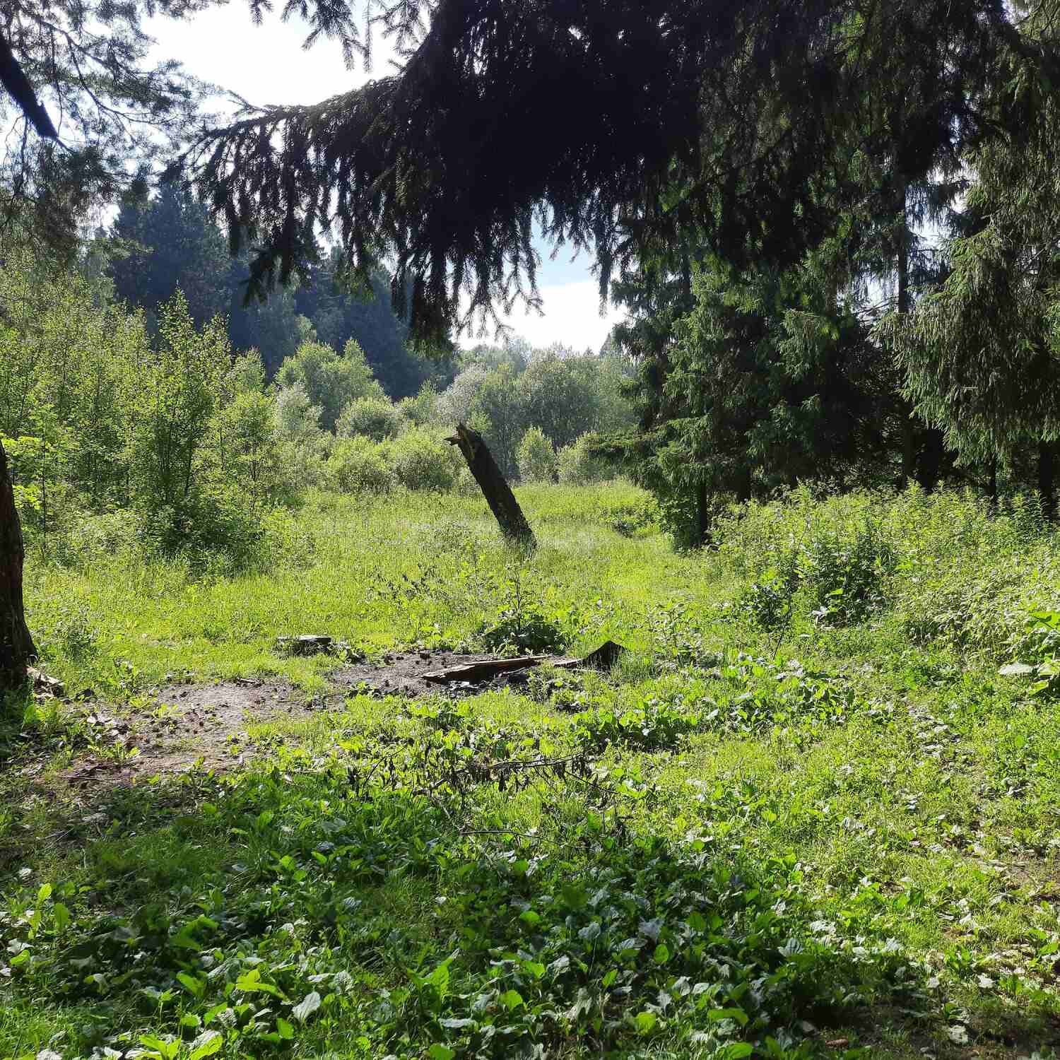 Красногорские виражи