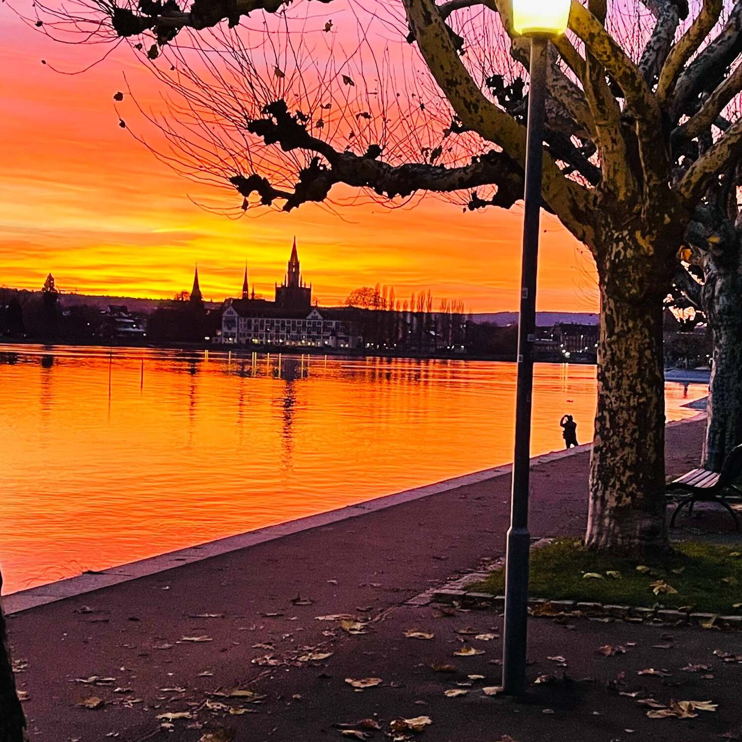 Suiza- Francia-España-Portugal