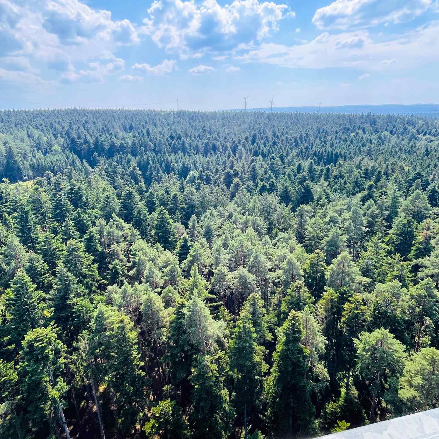 Nördlicher Schwarzwald
