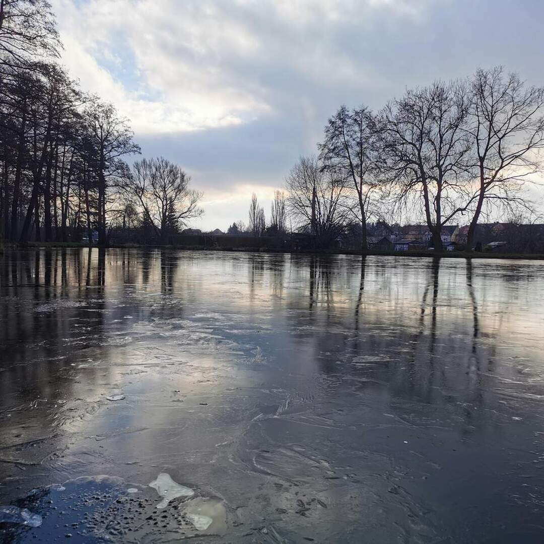 Neue/ alte Heimat
