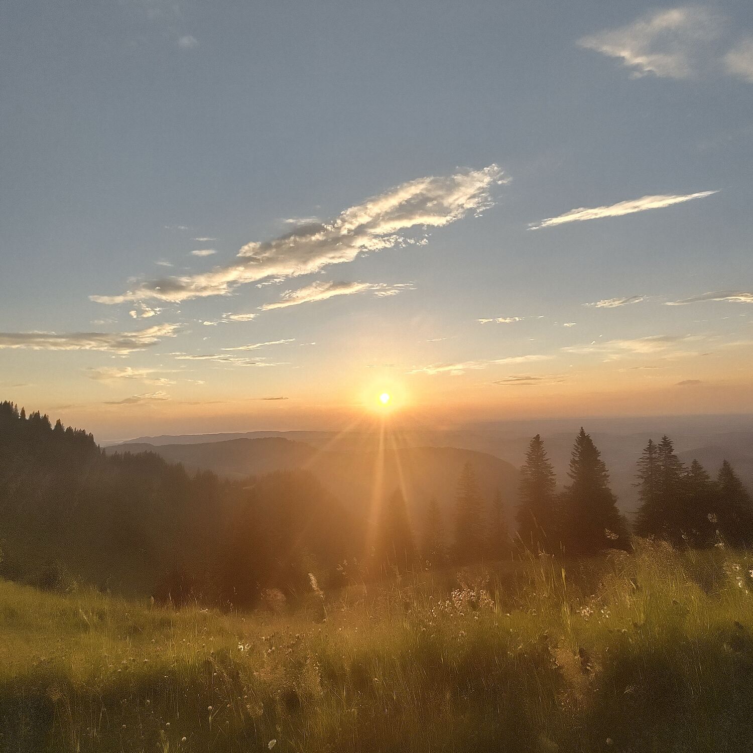 NST Section Oberallgäu+Lindau