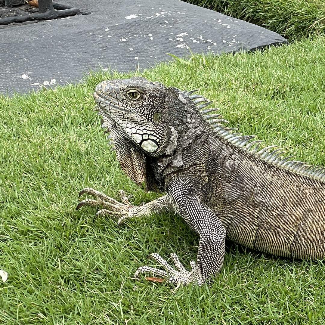 ECUADOR ADVENTURE 2022