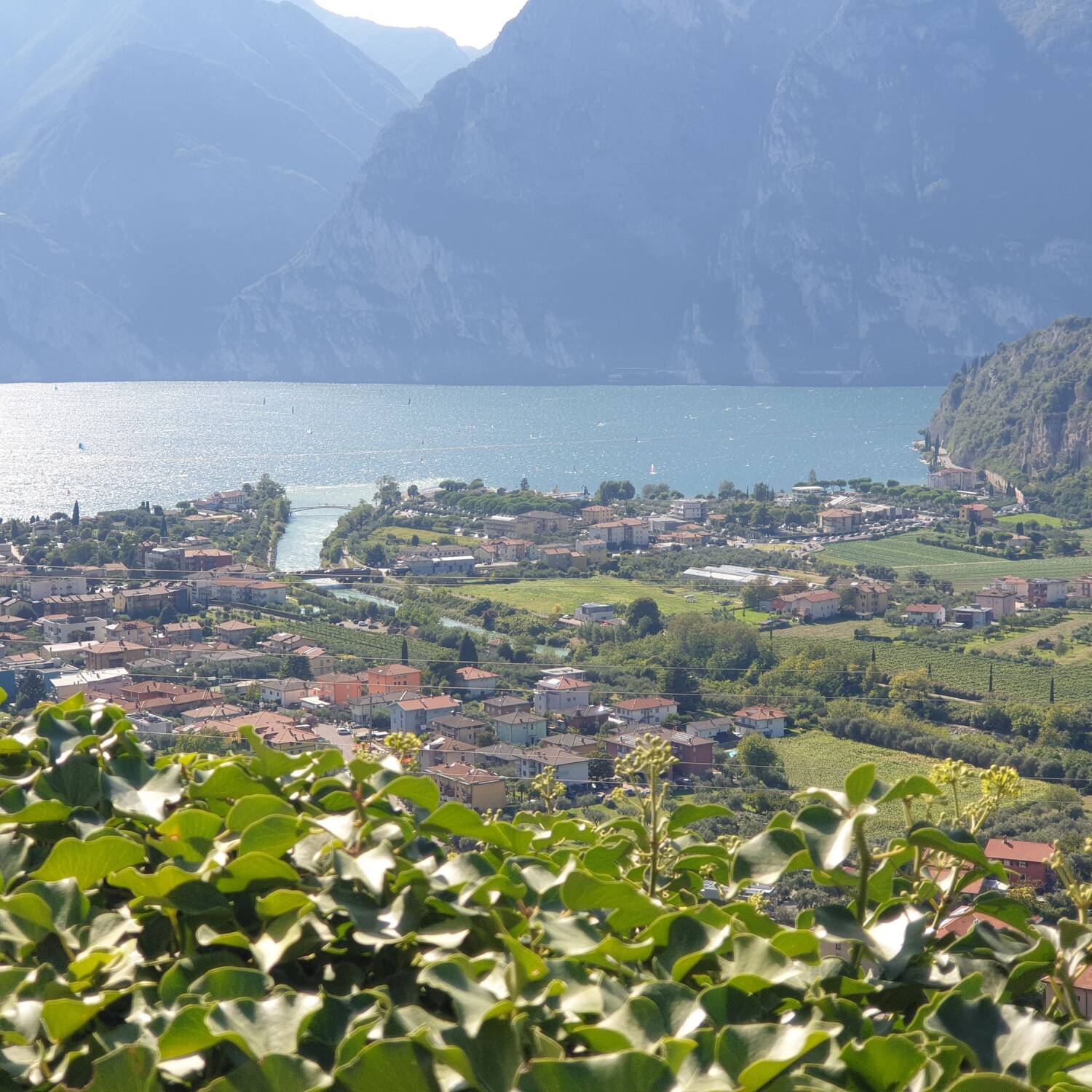 Bella Italia
