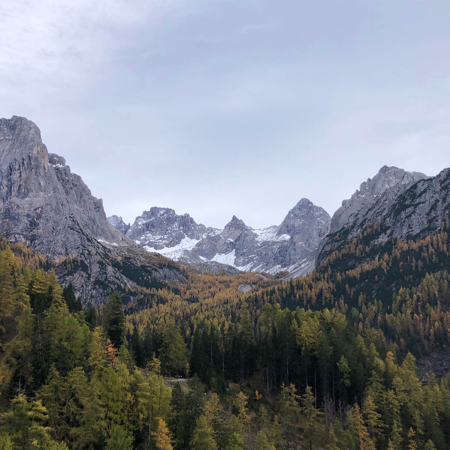 Monis Spätherbst Ost- Südtirol