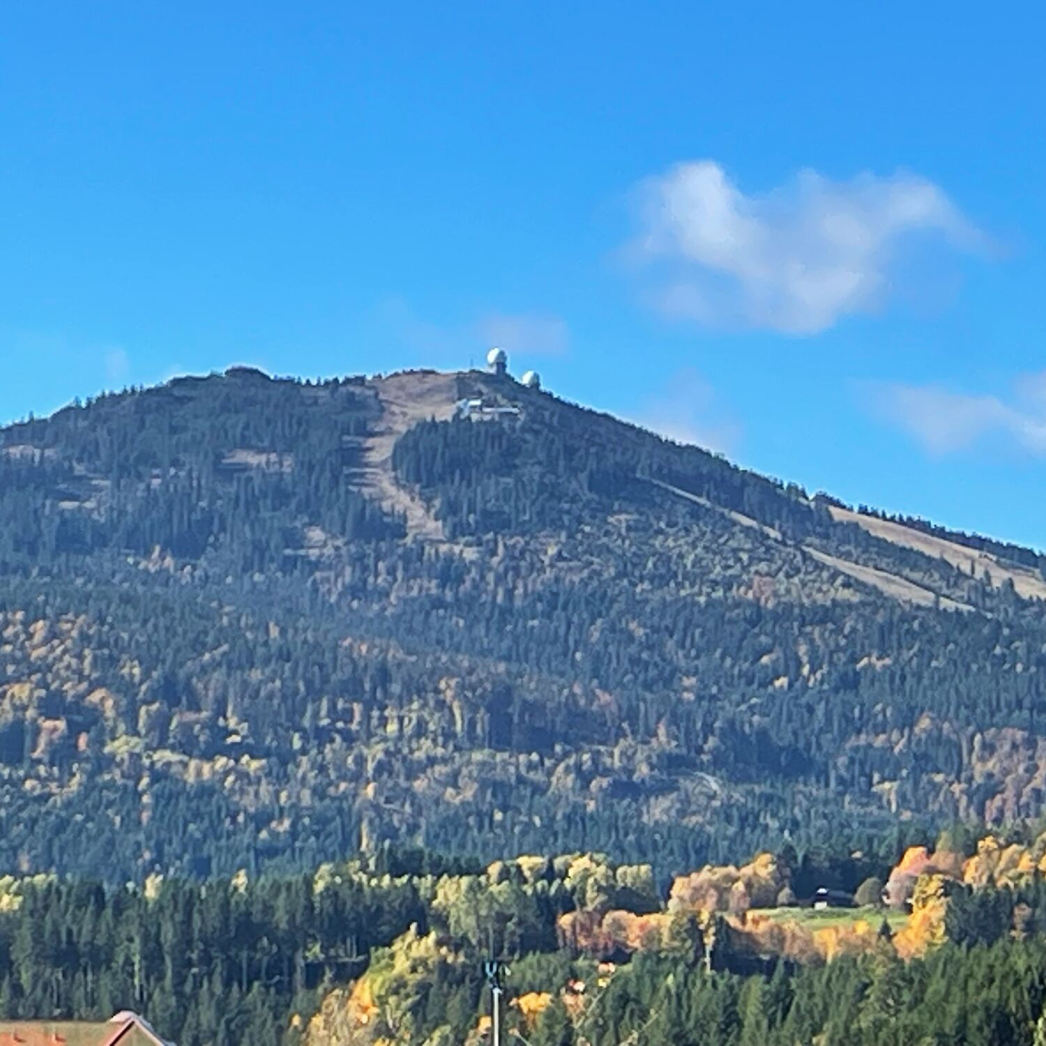 Bayrischer Wald 🌳, Bayern