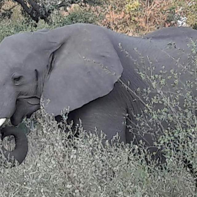 Namibia / Botswana