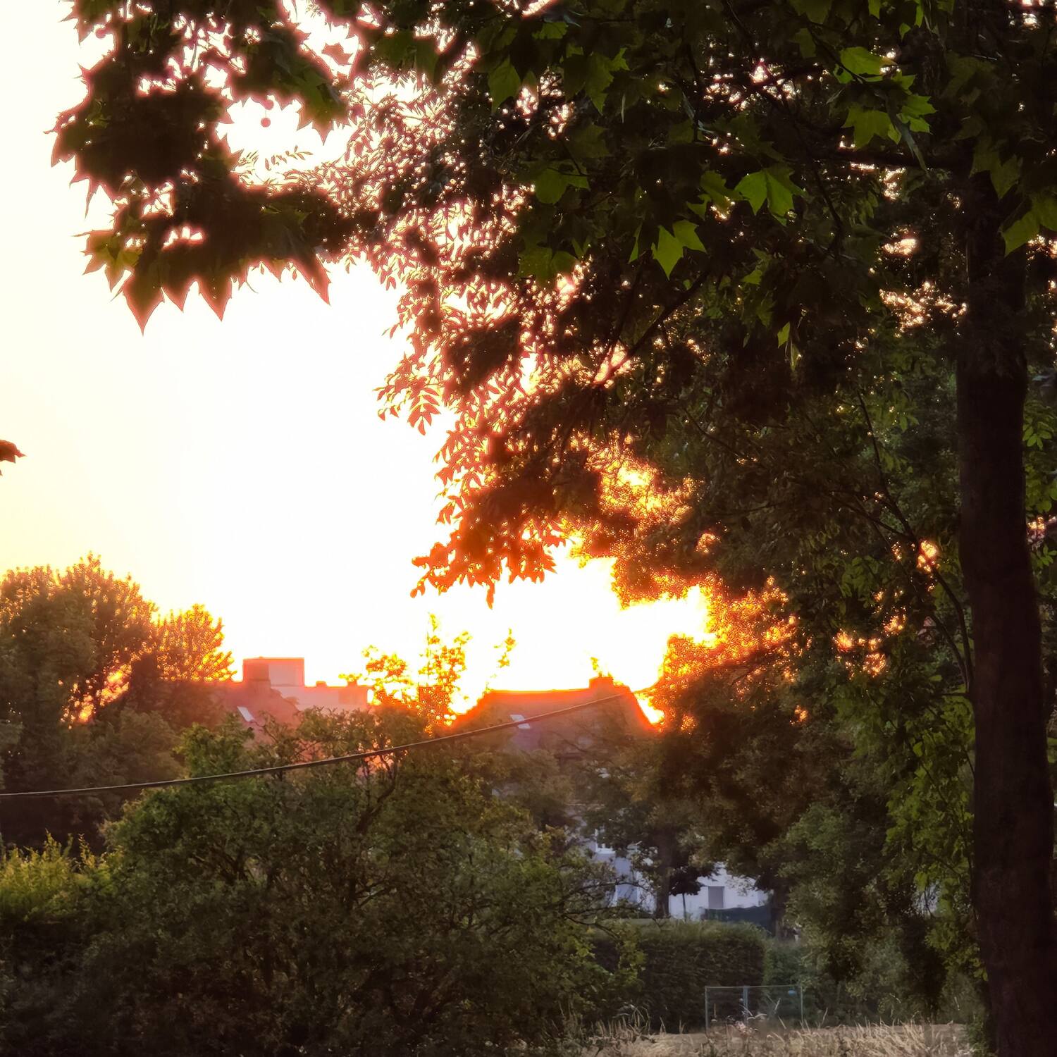 Worms und die Niebelungen