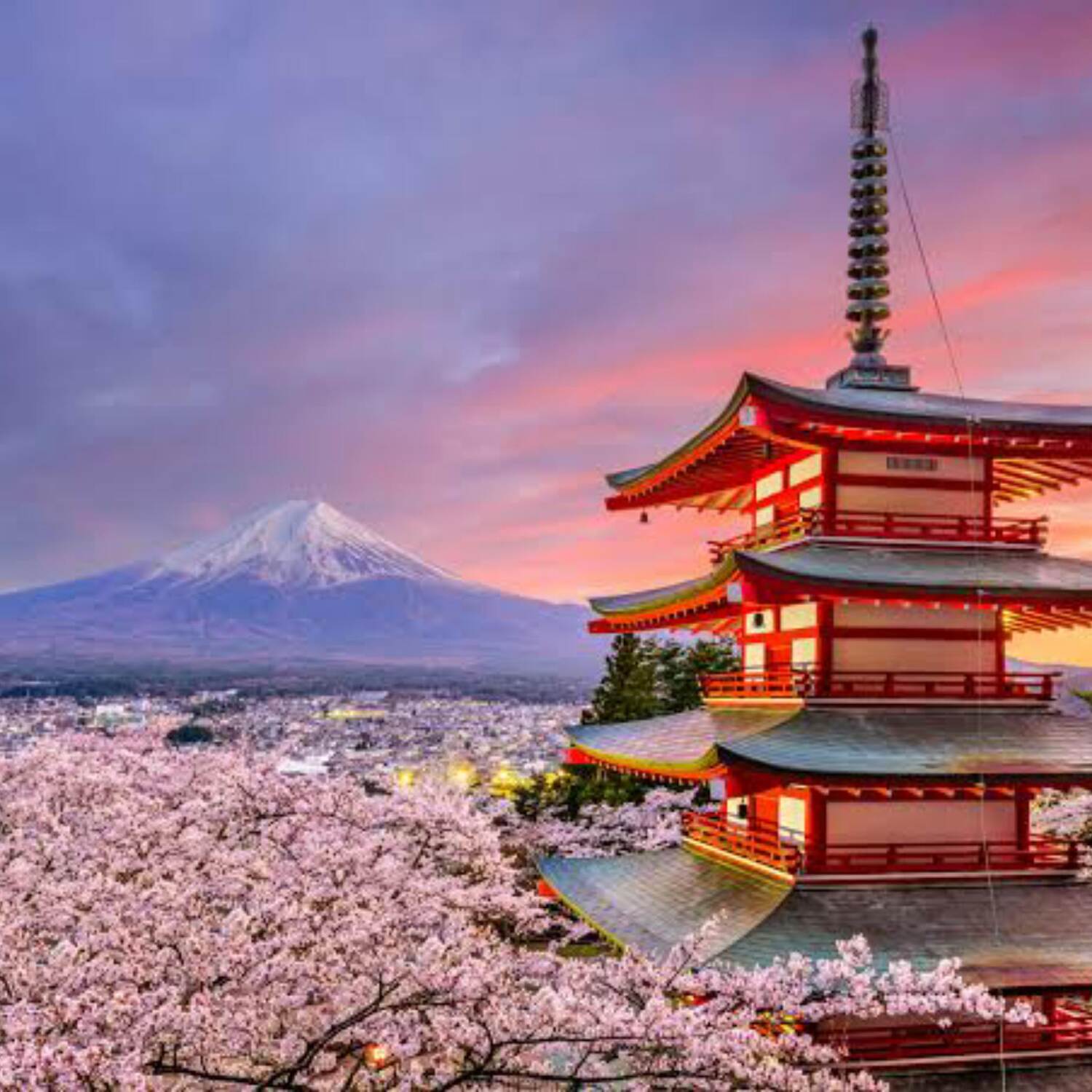 Japan Diaries