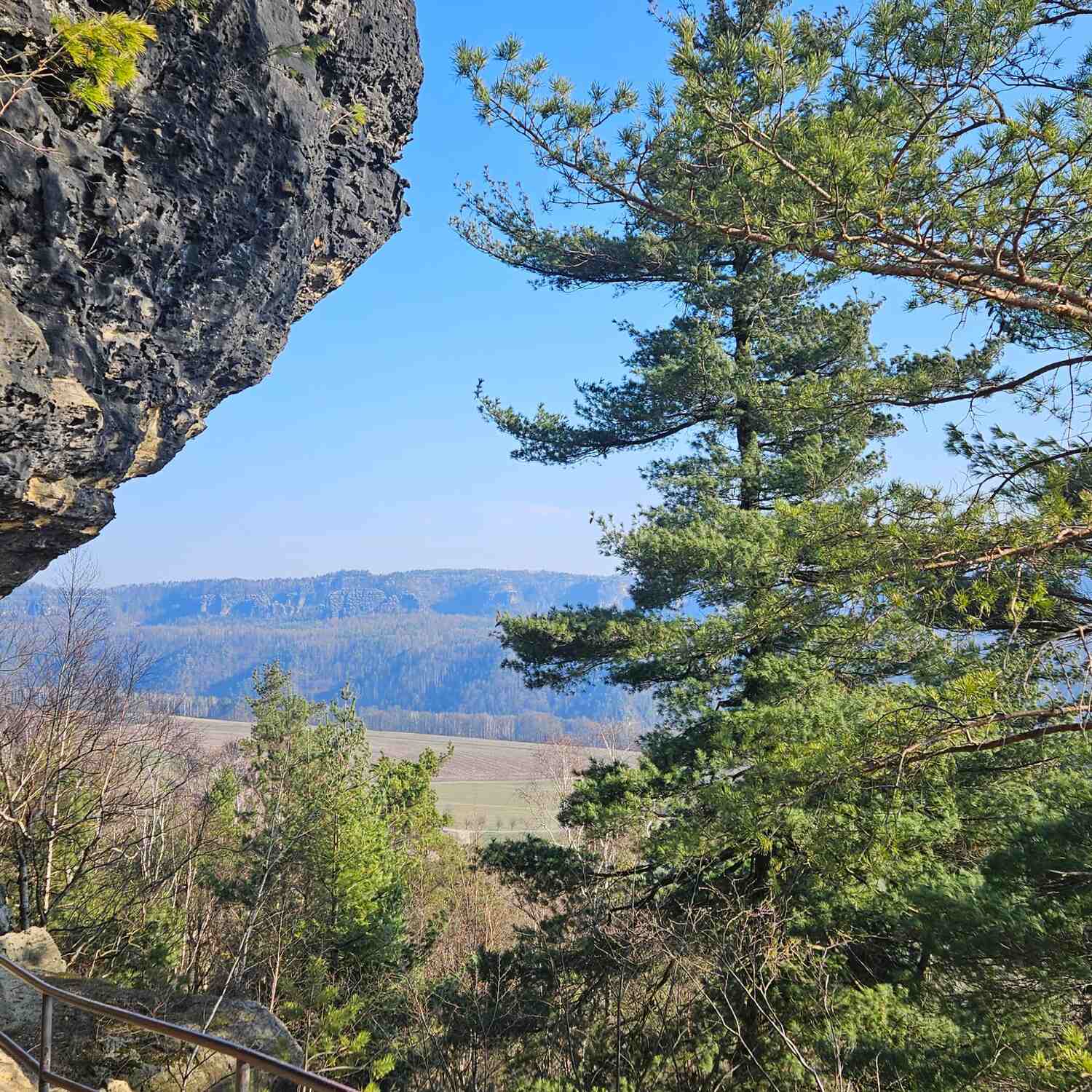 Zirkelstein- Kaiserkrone 2025
