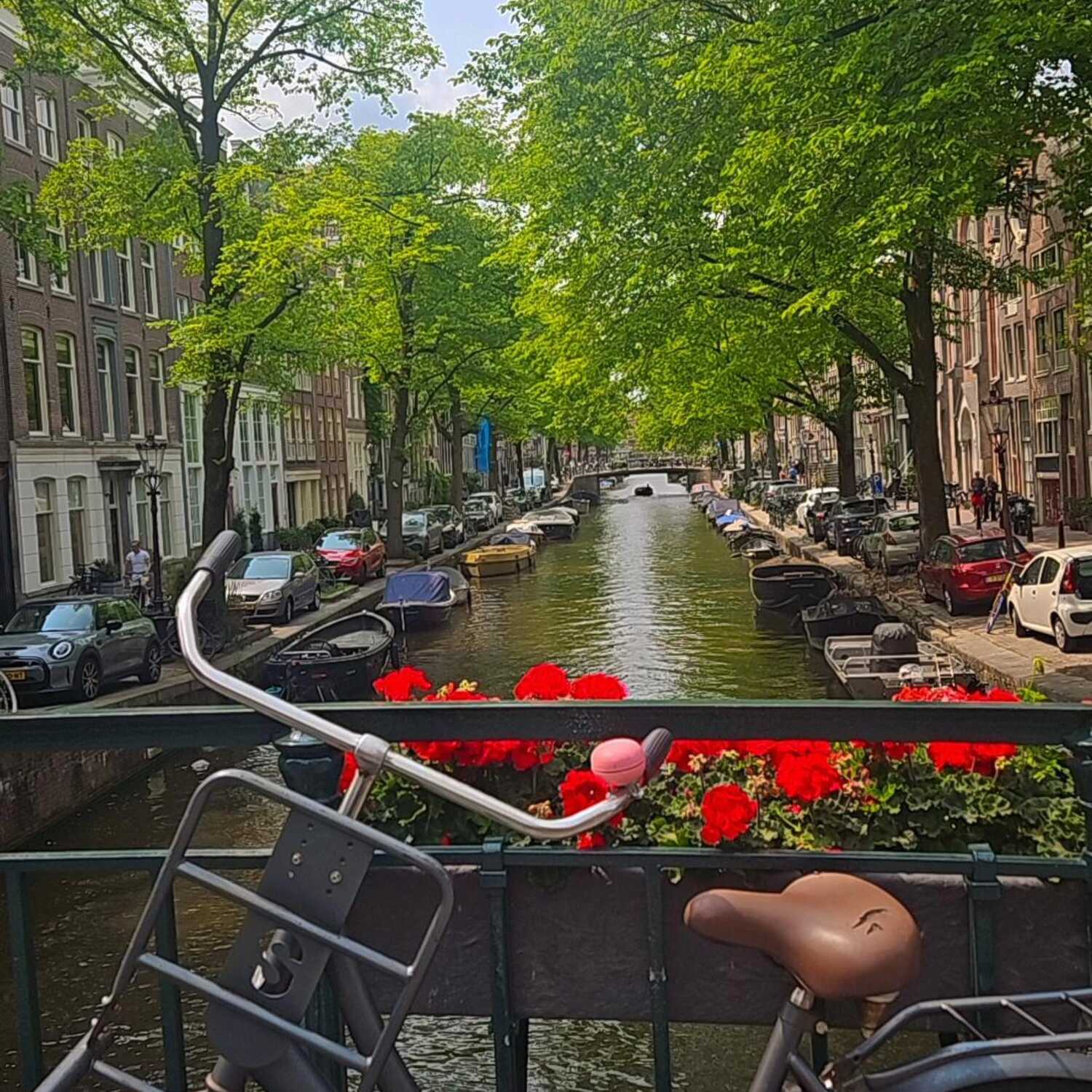 Amsterdam/ Holland Roadtrip