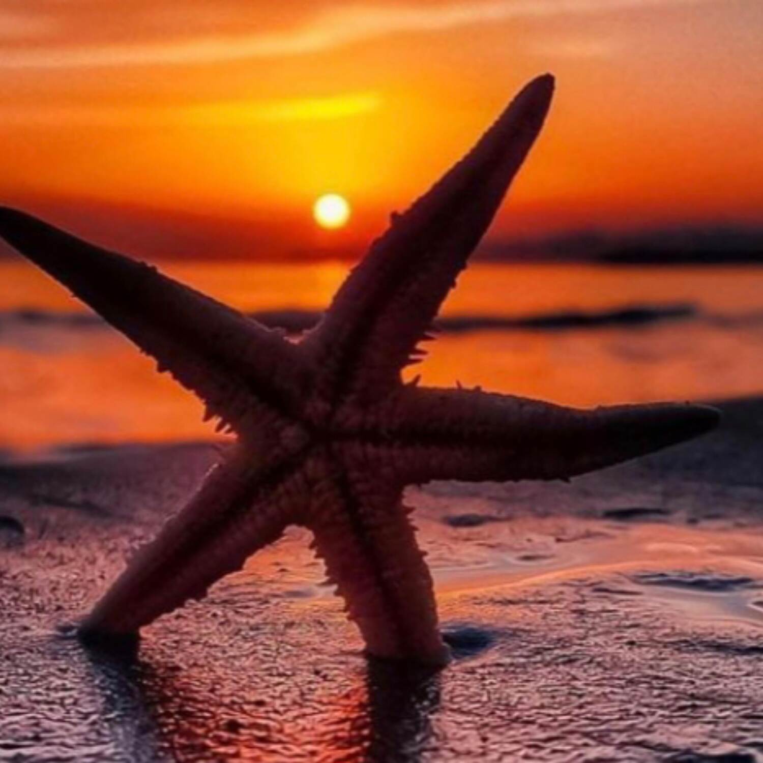 Sonne - Sand und Meer☀️