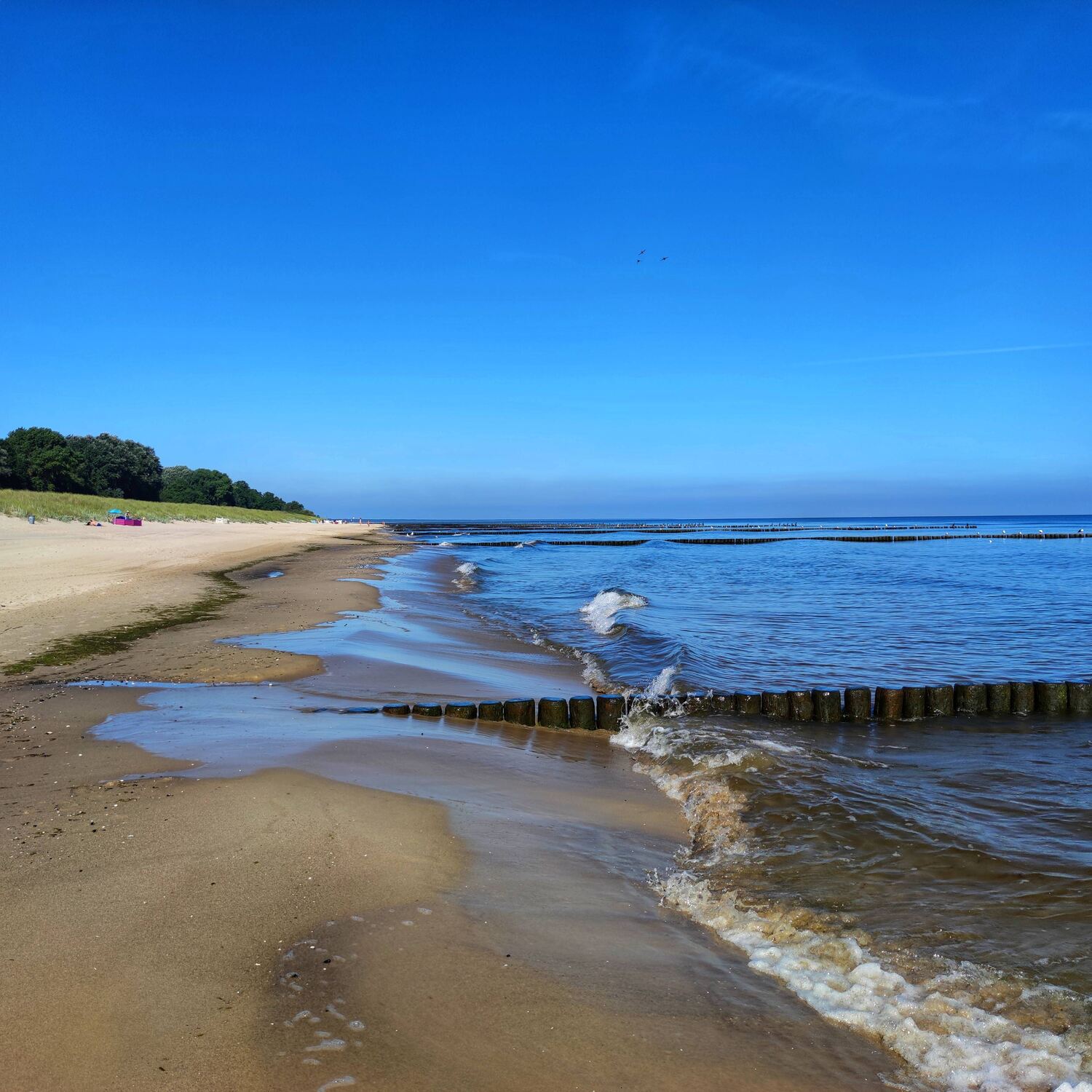 Usedom 2026