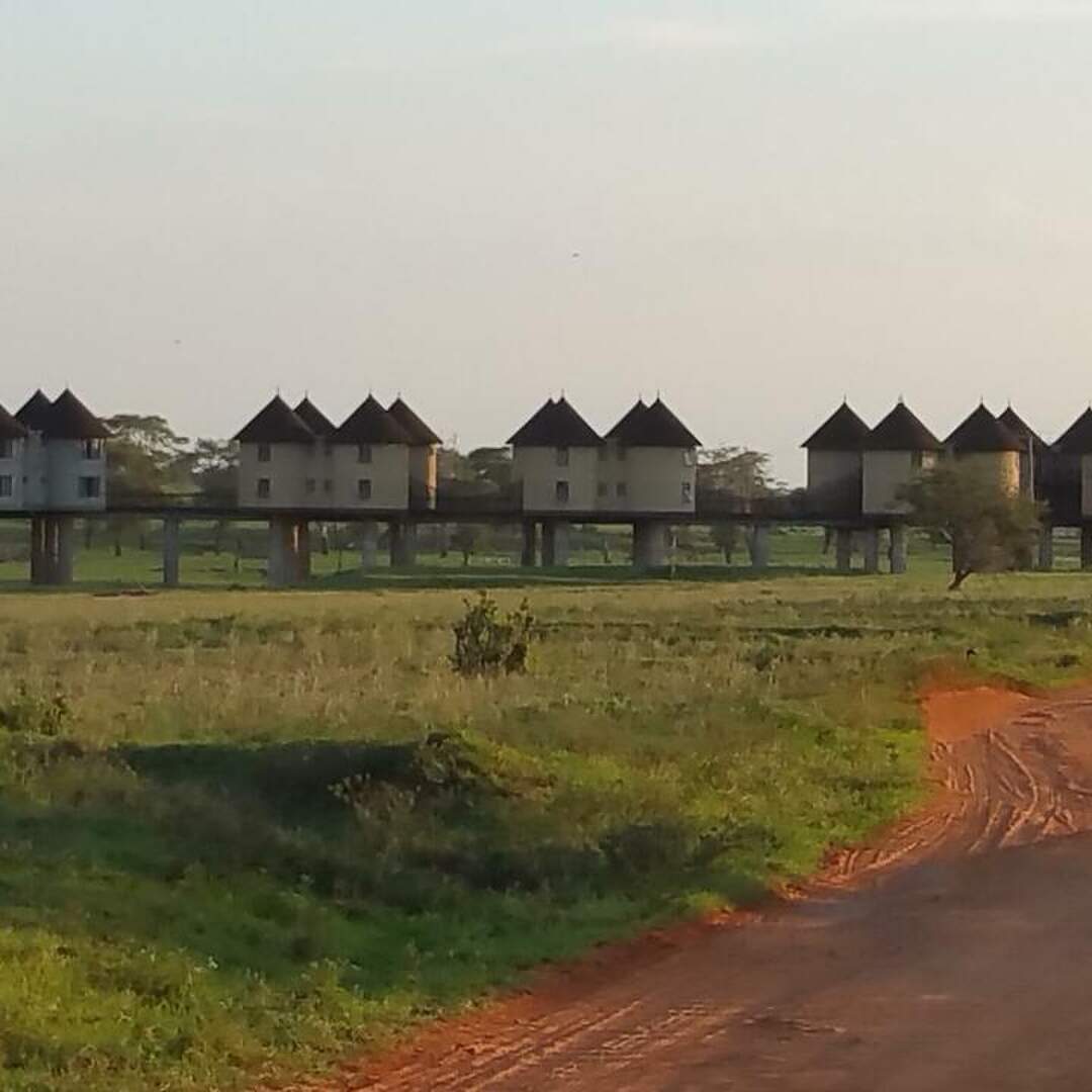 Kenia