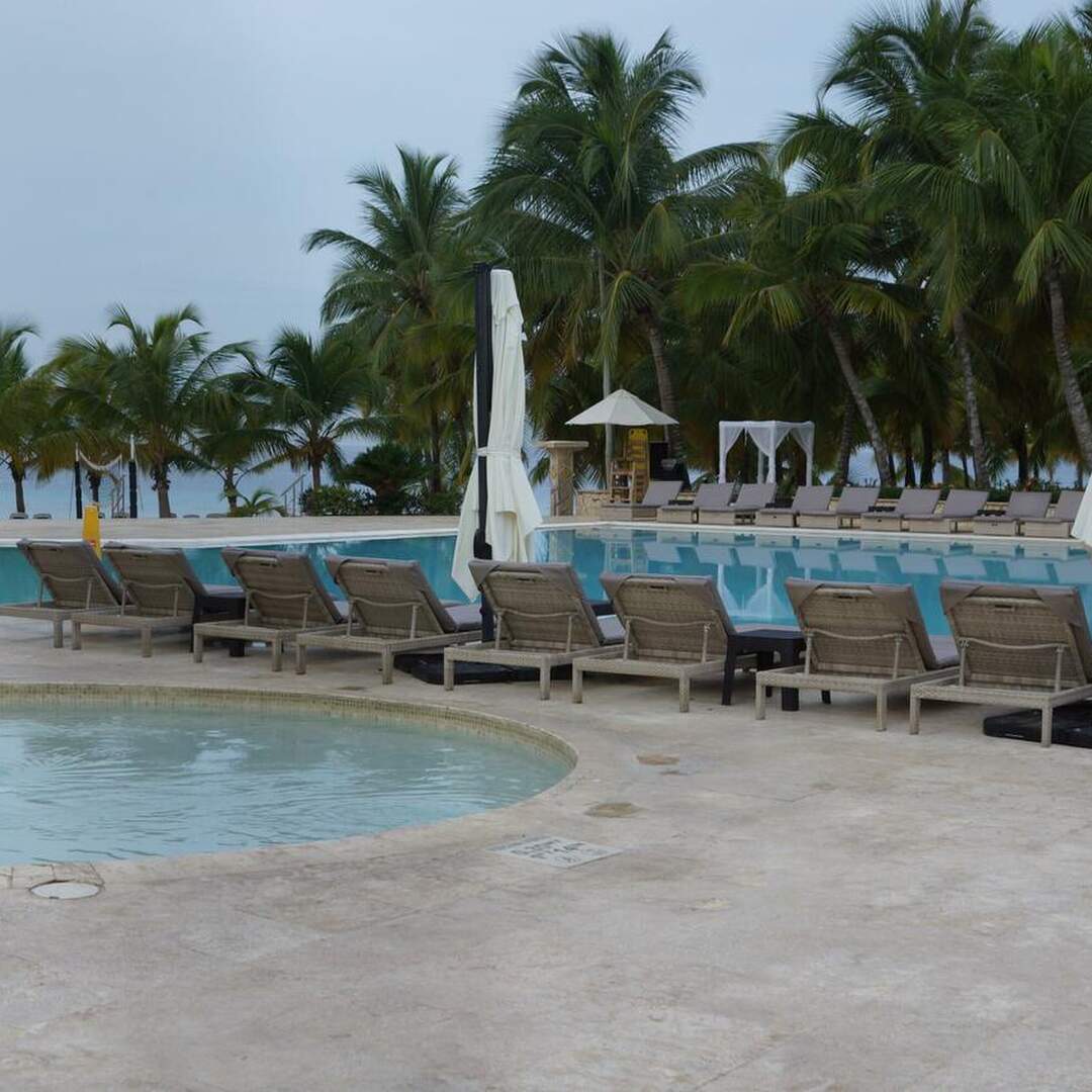 DomRep